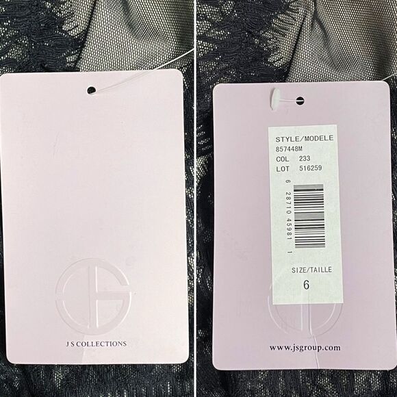 NWT JS Collections Black Nude Lace Illusion Midi Dress Sheer Stripe Size 6 NEW - Picture 10 of 13